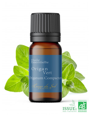 origan-vert-bio-huile-essentielle