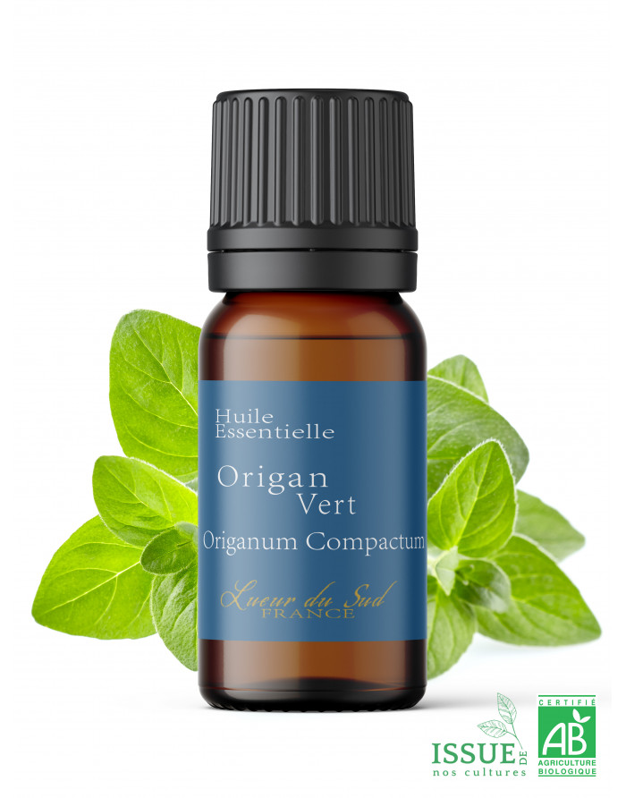 origan-vert-bio-huile-essentielle