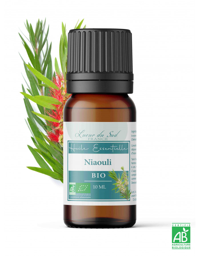 Niaouli - Huile essentielle biologique – Les Âmes Fleurs