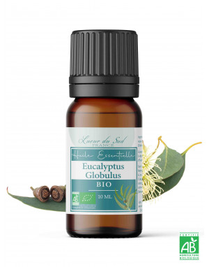 eucalyptus-globulus-bio-huile-essentielle