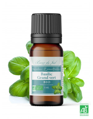 basilic-linalol-huile-essentielle