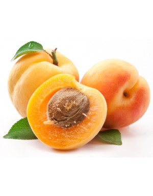 huile-abricot-bio-fruit-bonne mines-