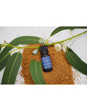 eucalyptus-vrac-huile-essentielle