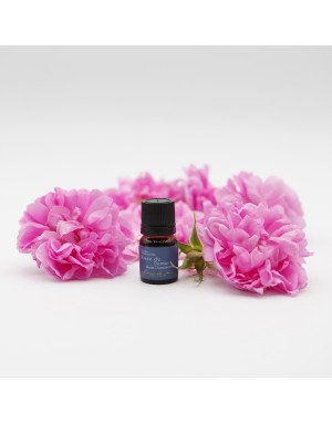 aromatherapie-pure-producteur-proprietes-huile-essentielle-bio-sante-rides-cicatrisant-parfum-rose-damas-pur